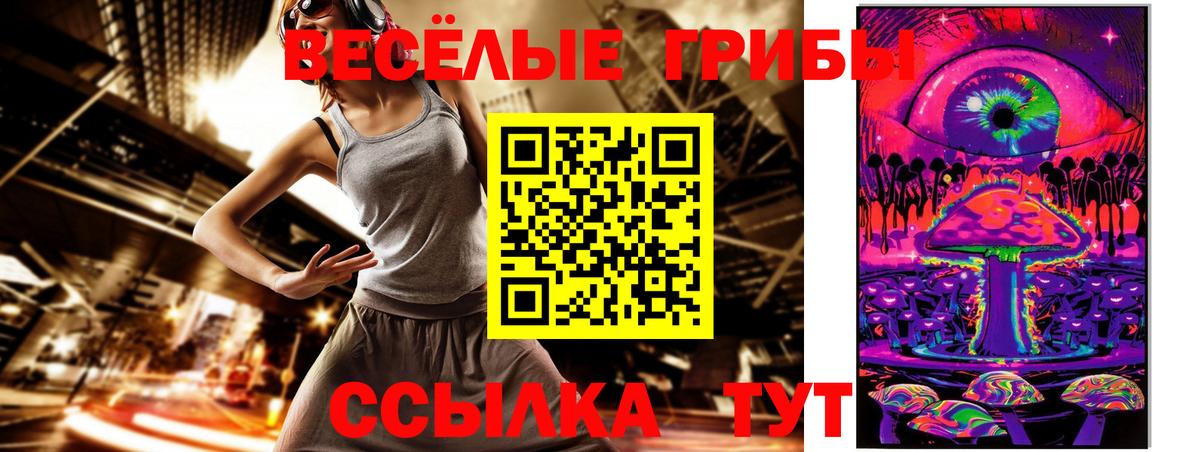 наркота  Вход с VPN  Кызыл  Галлюциногенные грибы Psilocybine cubensis 